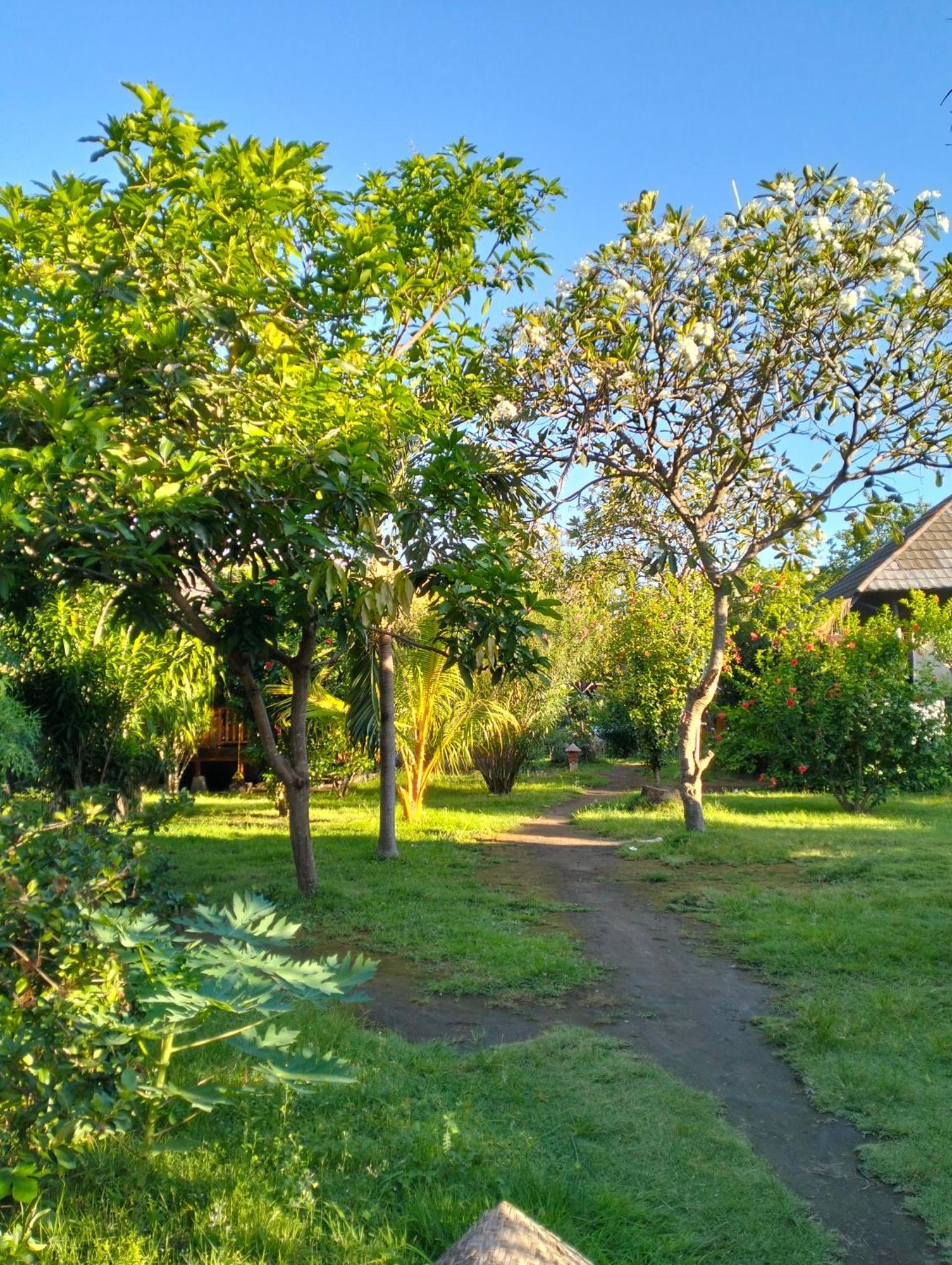 Tangga Bungalows กิลิไอร์ ห้อง รูปภาพ