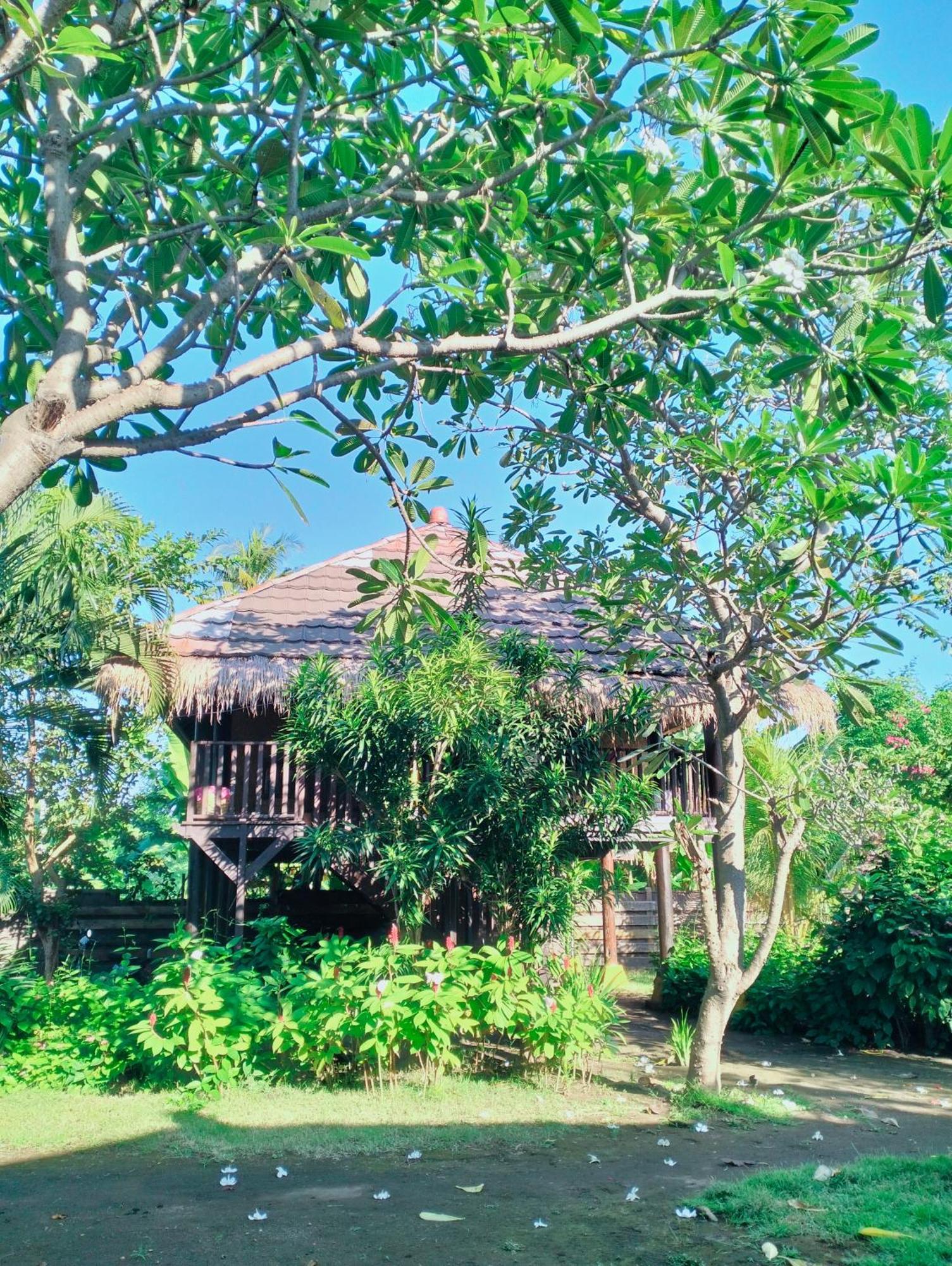 Tangga Bungalows กิลิไอร์ ห้อง รูปภาพ