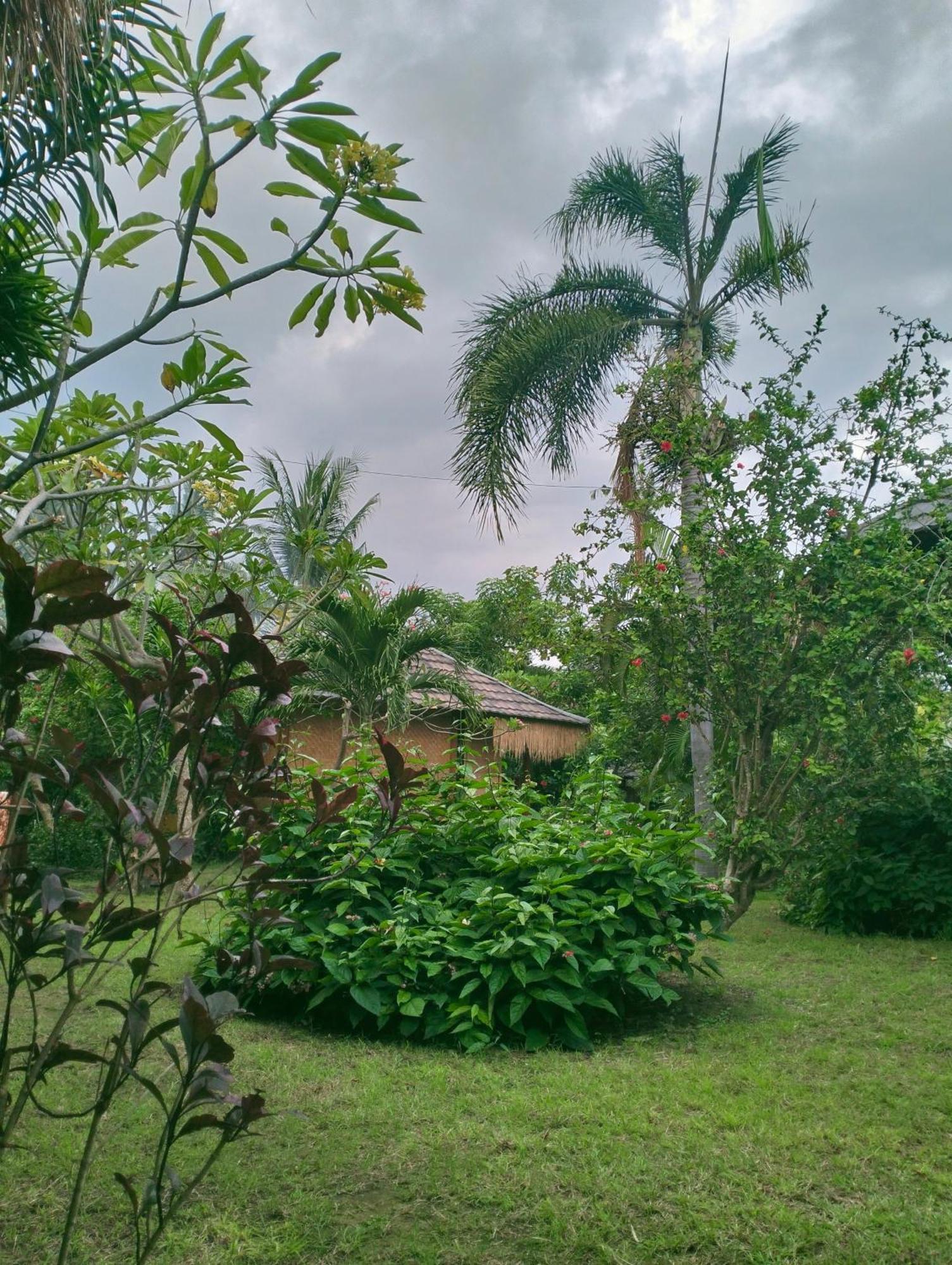 Tangga Bungalows กิลิไอร์ ห้อง รูปภาพ